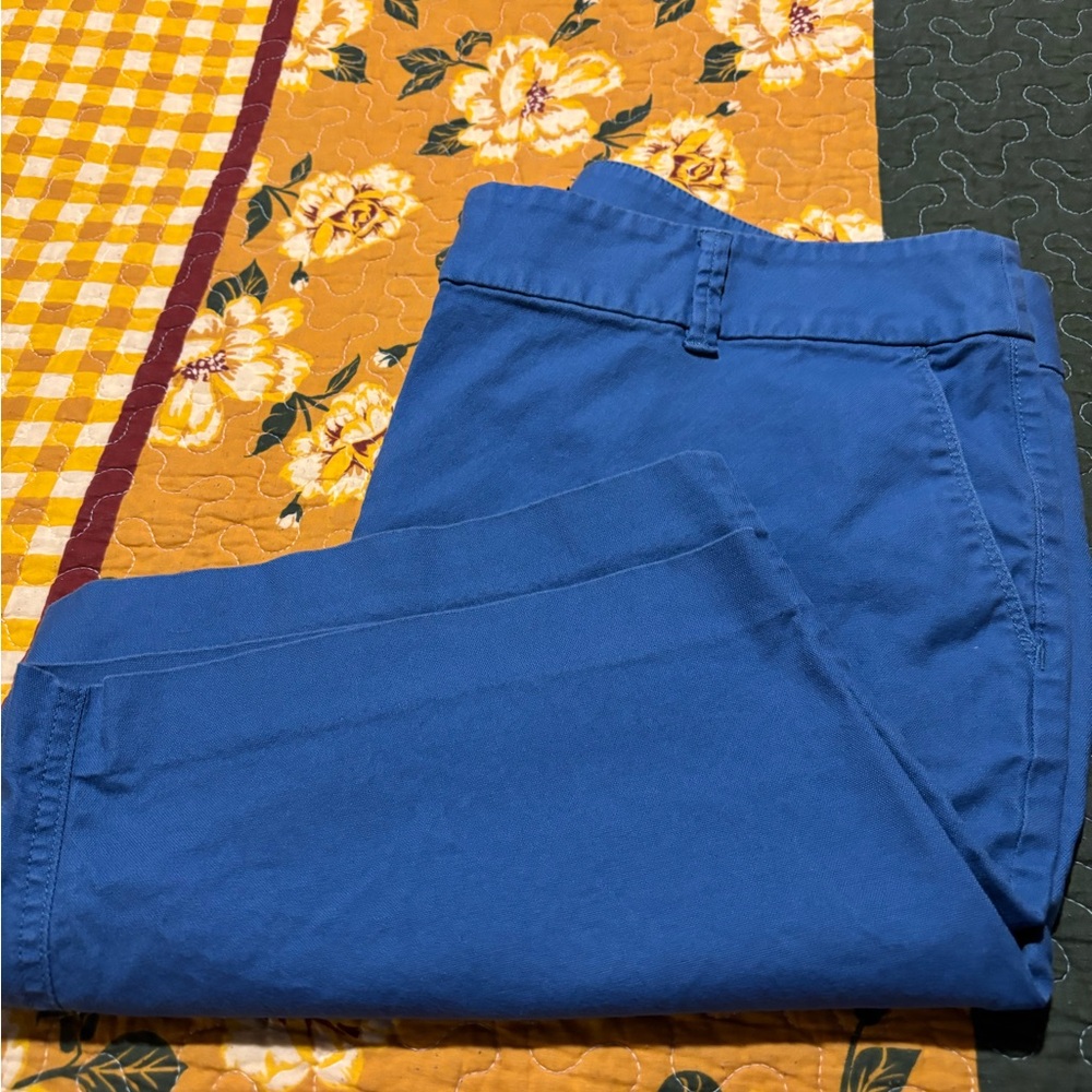 LOFT Julie Blue Shorts - Picture 12 of 14